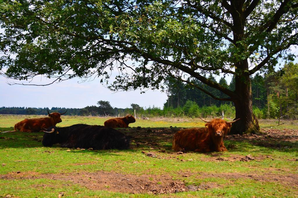B&B Leendershoeve In Heusden Asten Exterior foto